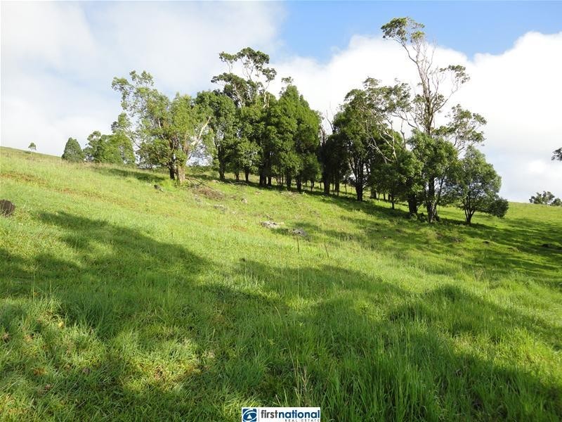 Millaa Millaa QLD 4886