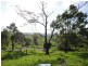 Millaa Millaa QLD 4886