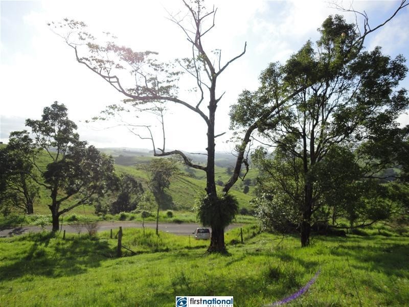 Millaa Millaa QLD 4886