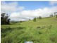 Millaa Millaa QLD 4886