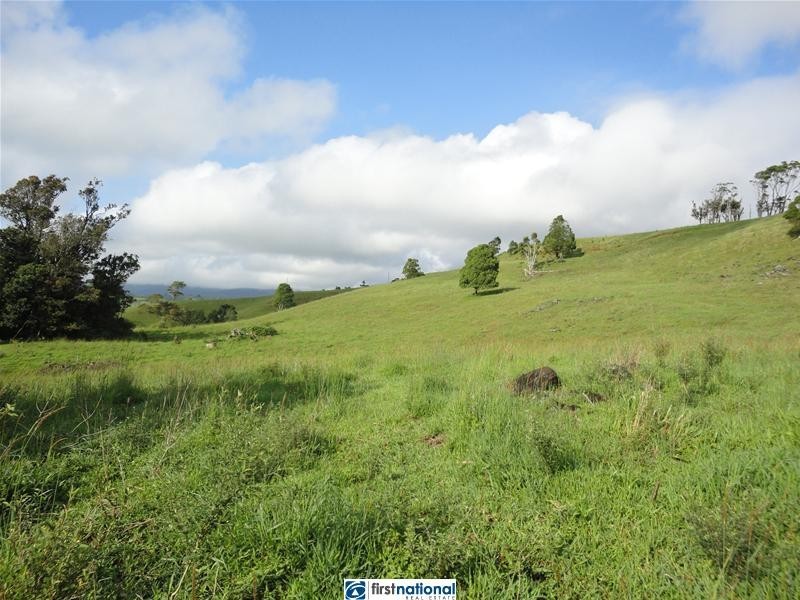 Millaa Millaa QLD 4886