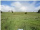 Millaa Millaa QLD 4886