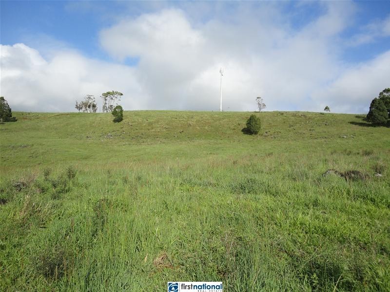 Millaa Millaa QLD 4886
