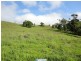 Millaa Millaa QLD 4886