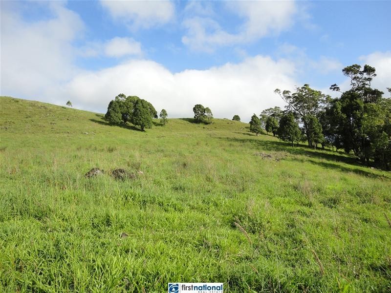 Millaa Millaa QLD 4886