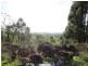 Millaa Millaa QLD 4886