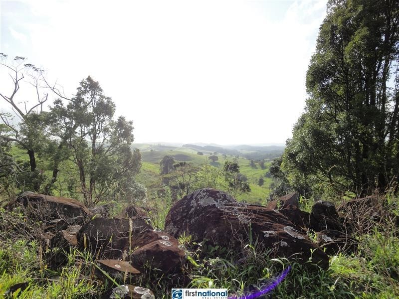 Millaa Millaa QLD 4886