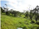 Millaa Millaa QLD 4886