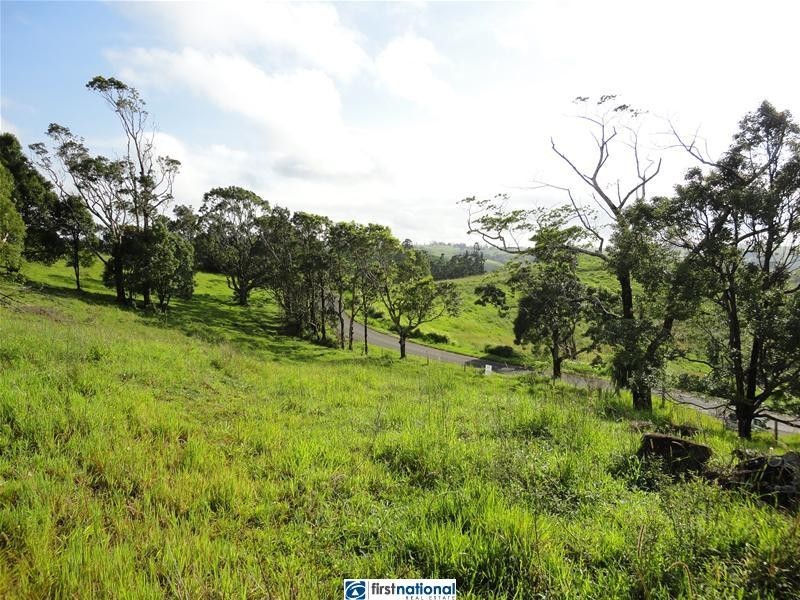 Millaa Millaa QLD 4886