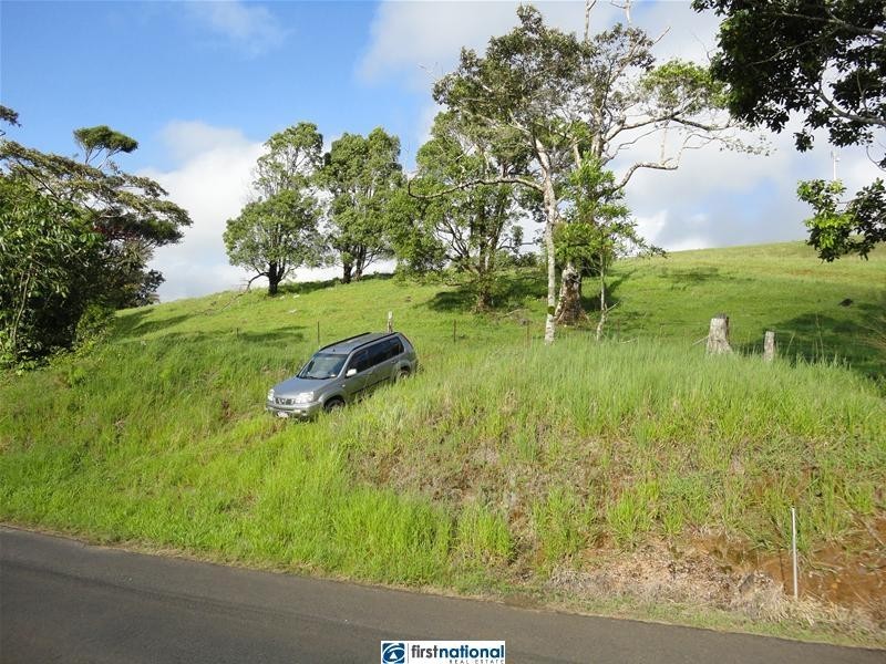 Millaa Millaa QLD 4886