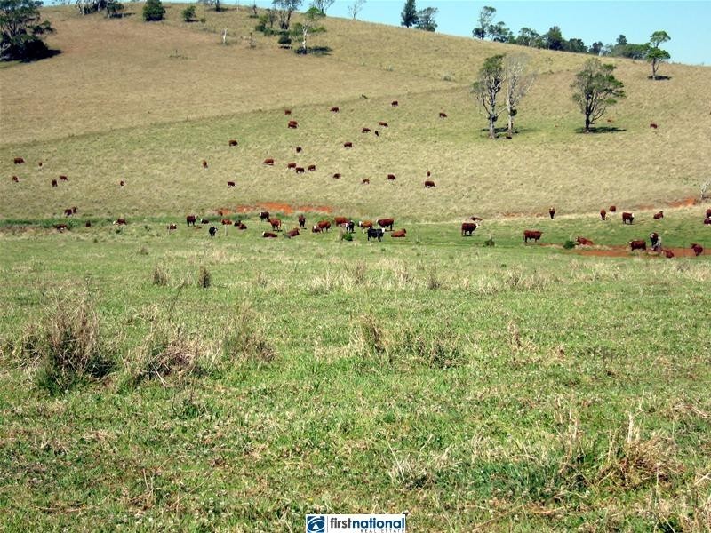 11337 Kennedy Highway, Evelyn QLD 4888