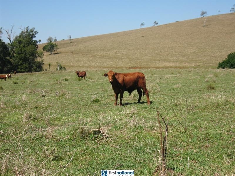 11337 Kennedy Highway, Evelyn QLD 4888