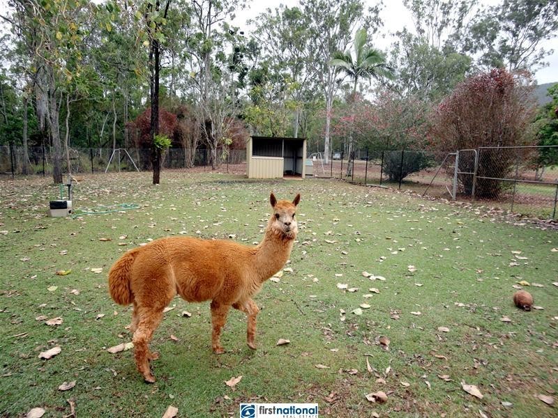 Atherton QLD 4883