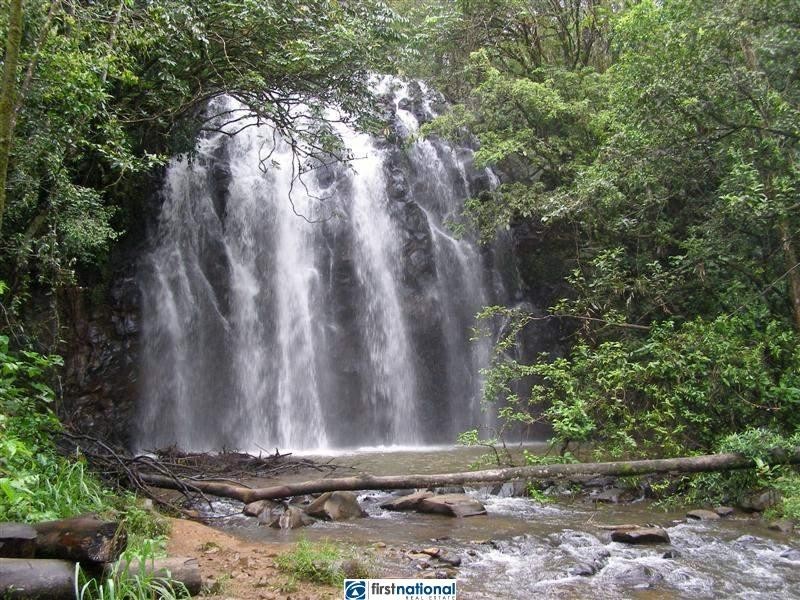 Millaa Millaa QLD 4886