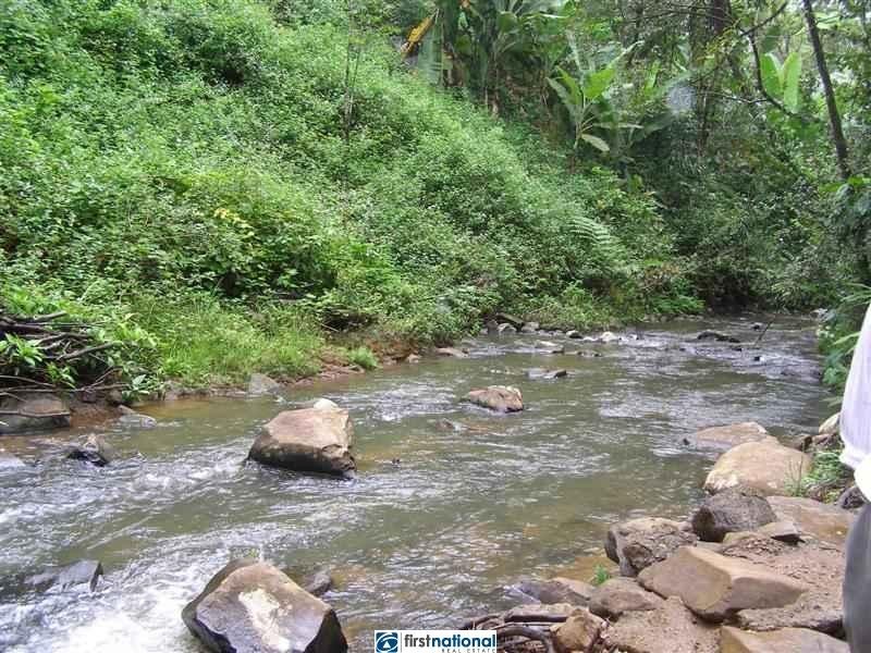 Millaa Millaa QLD 4886