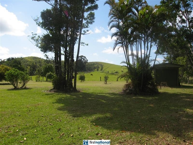 Millaa Millaa QLD 4886