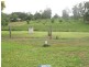 Yungaburra QLD 4884