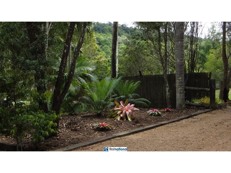 Lake Barrine QLD 4884