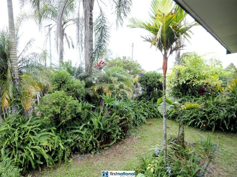 Millaa Millaa QLD 4886