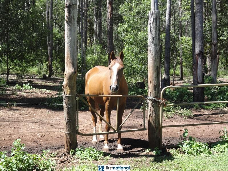 Wondecla QLD 4887