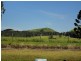 Yungaburra QLD 4884