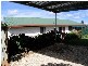10 Currawong, Yungaburra QLD 4884