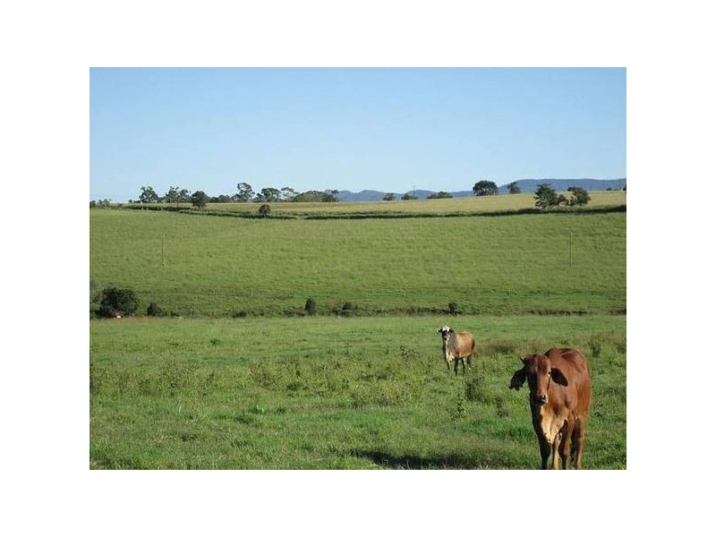 Yungaburra QLD 4884