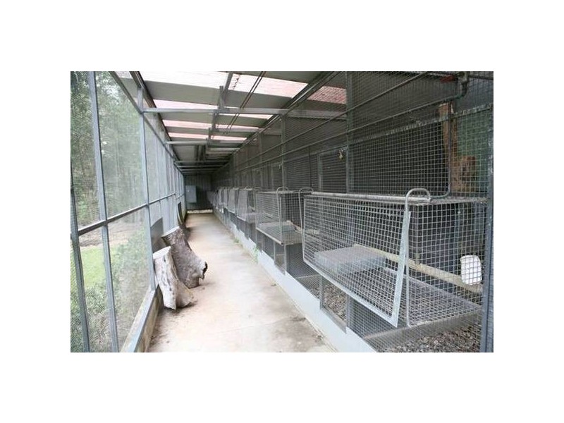Atherton QLD 4883