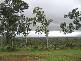 Tolga QLD 4882