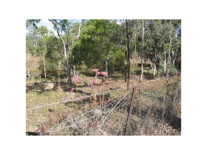 Mount Garnet QLD 4872