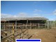 Malanda QLD 4885