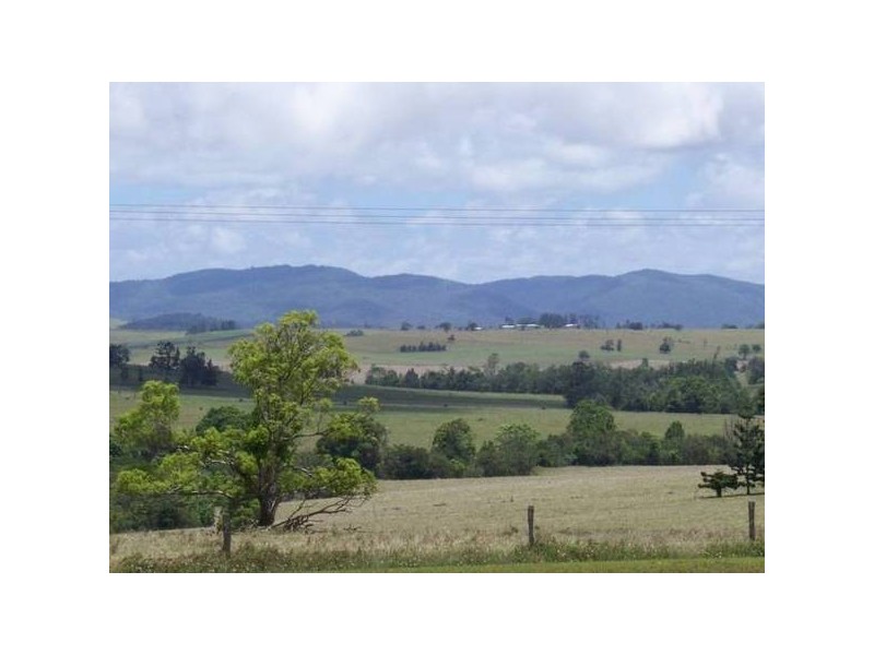 19 Millaa Millaa Road, Malanda QLD 4885
