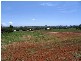 22 Bernard Street, Malanda QLD 4885