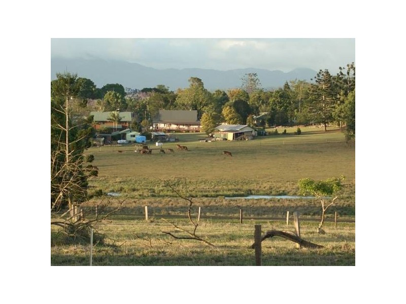 Yungaburra QLD 4884