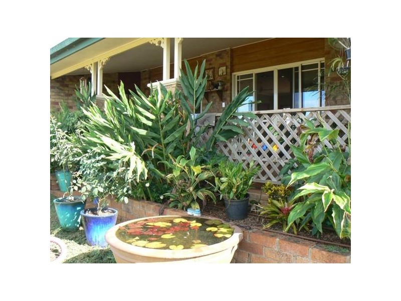 Yungaburra QLD 4884