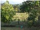 Yungaburra QLD 4884