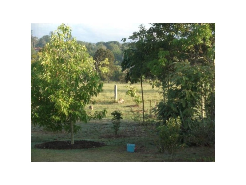 Yungaburra QLD 4884