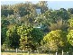 Yungaburra QLD 4884