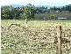 Yungaburra QLD 4884