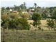 Yungaburra QLD 4884