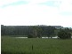 Yungaburra QLD 4884
