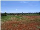 Malanda QLD 4885