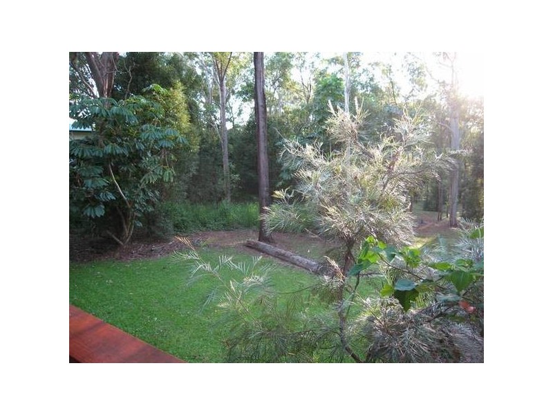 Yungaburra QLD 4884