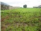 Yungaburra QLD 4884