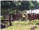 Atherton QLD 4883