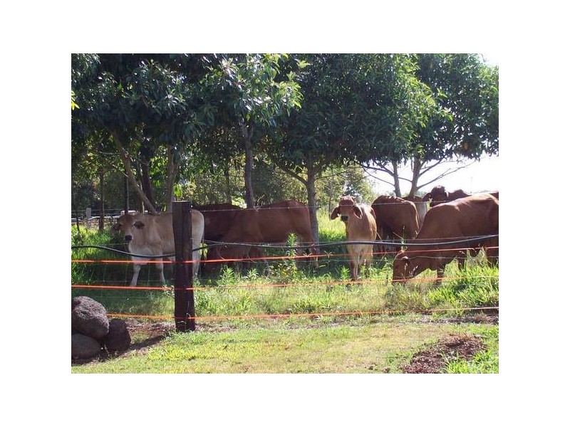 Atherton QLD 4883