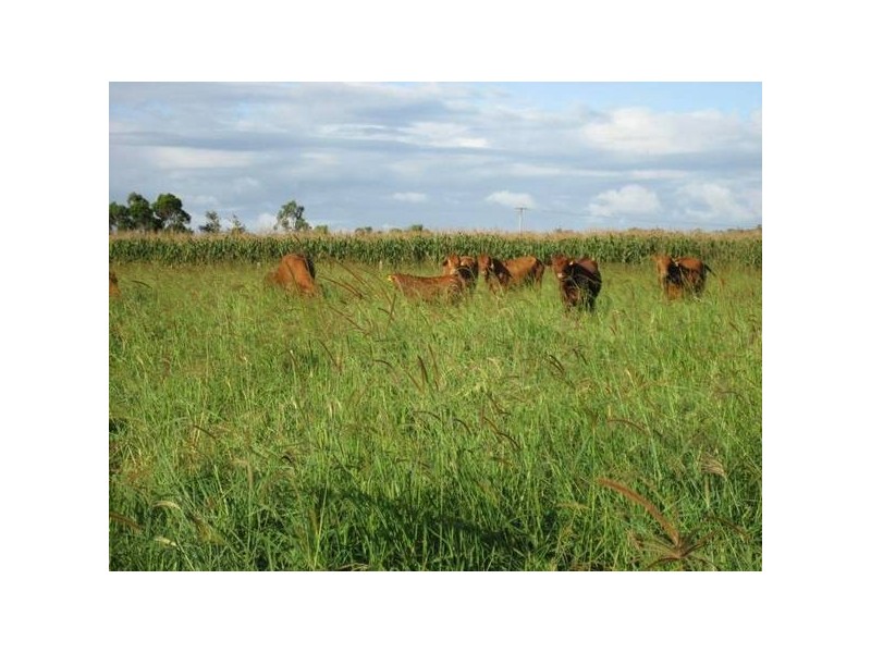 Atherton QLD 4883