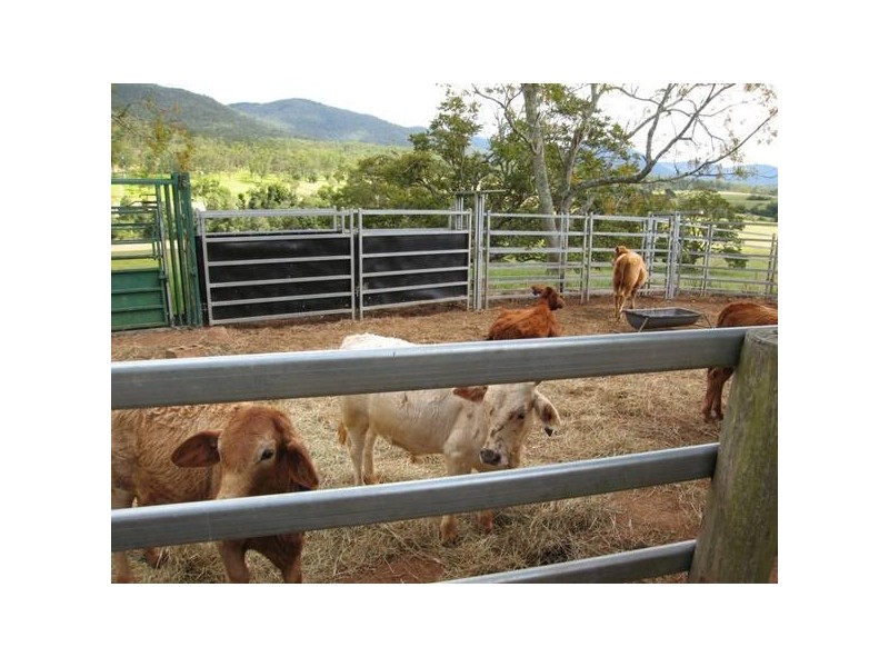 Upper Barron QLD 4883