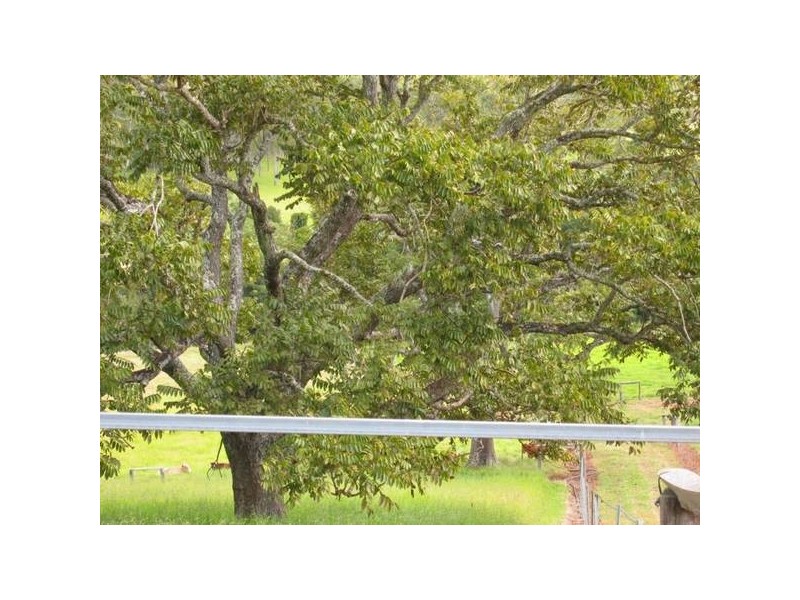 Upper Barron QLD 4883