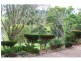 Yungaburra QLD 4884